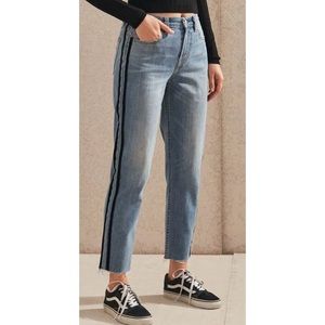 Pacsun Los Angeles Vintage Icon High Wasted Mom Jeans